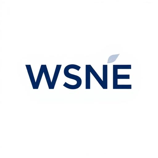 WSNE